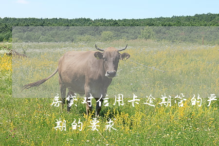 房贷对信用卡逾期管的严吗(房贷对信用卡逾期的要求)