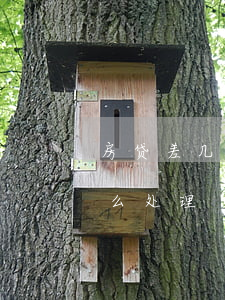 房贷差几百块钱逾期一天(房贷逾期几百块怎么处理)