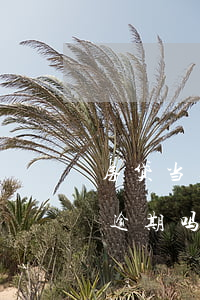 房贷当天还款算逾期吗(房贷还款日下午还算逾期吗)