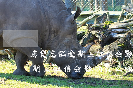 房贷忘记逾期上征信会影响什么(房贷忘记逾期上征信会影响什么嘛)