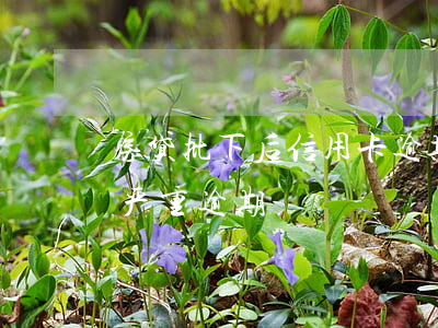 房贷批下后信用卡逾期-房贷没逾期信用卡严重逾期