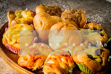 房贷提前结清逾期怎么办(逾期已结清办理房贷)