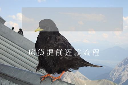 房贷提前还款流程