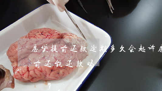 房贷提前还款逾期多久会起诉(房贷逾期起诉前还能还款吗)
