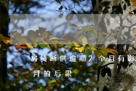 房贷断供逾期2个月有影响吗(房贷逾期两个月的后果)
