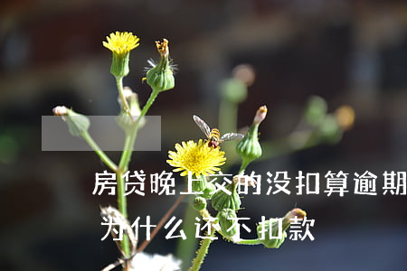 房贷晚上交的没扣算逾期(房贷逾期几个小时,为什么还不扣款)