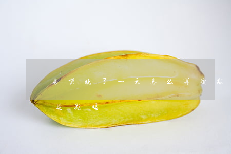 房贷晚了一天怎么算逾期(住房贷款晚一天算逾期吗)
