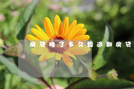 房贷晚了多久算逾期(房贷晚还多久算逾期)