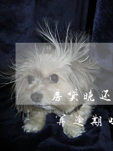 房贷晚还2小时算逾期吗(房贷晚还一个小时算逾期吗)