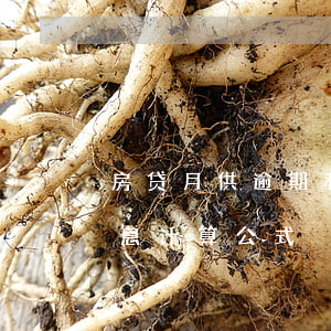 房贷月供逾期利息怎么算(房贷逾期利息和罚息计算公式)