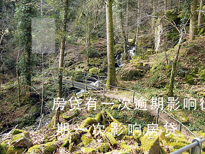 房贷有一次逾期影响征信(个人征信信用卡逾期一次影响房贷)