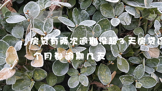 房贷有两次逾期没超3天（房贷连着三个月每个月都逾期几天）