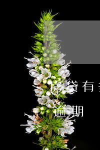 房贷有多少天的逾期时间(房贷超期几天算是逾期)
