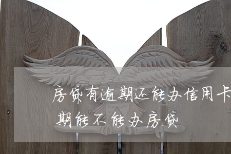 房贷有逾期还能办信用卡么(有一个信用卡逾期能不能办房贷)