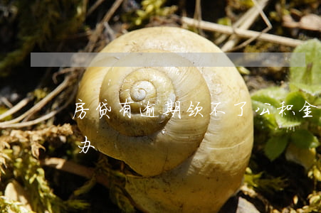 房贷有逾期领不了公积金(公积金逾期了怎么办)