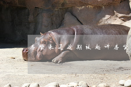 房贷未还逾期被起诉(房贷逾期已还被起诉)