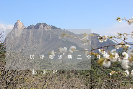 房贷款逾期三个月被起诉(房贷逾期两期会被起诉吗)