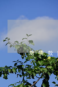 房贷款逾期十几天严重吗