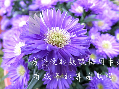 房贷没扣款跟信用卡逾期有关系吗(房贷卡里有钱不扣算逾期吗)