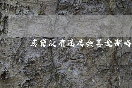 房贷没有还足会算逾期吗
