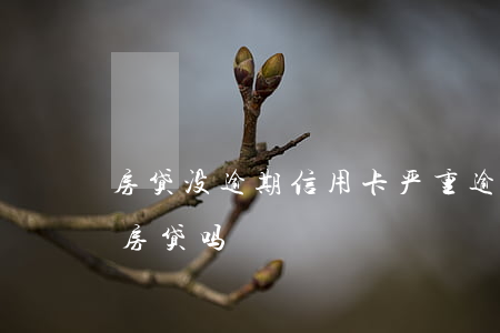 房贷没逾期信用卡严重逾期（信用卡逾期了能房贷吗）