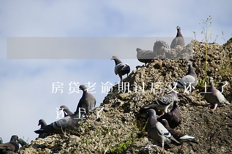 房贷老逾期过后又还上了(房贷老逾期过后又还上了)