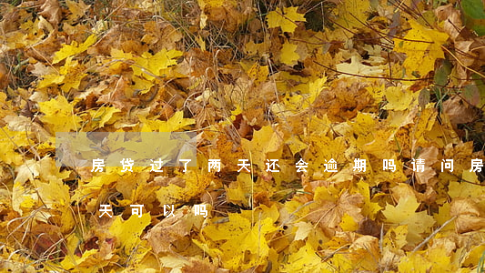 房贷过了两天还会逾期吗(请问房贷逾期一两天可以吗)