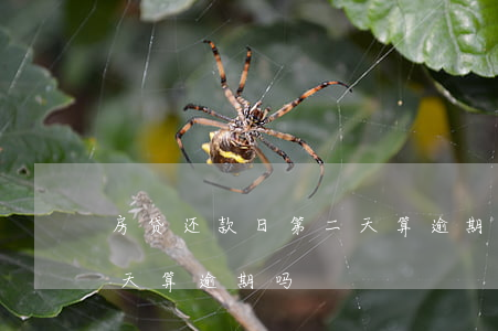 房贷还款日第二天算逾期吗（房贷还款日第二天算逾期吗）