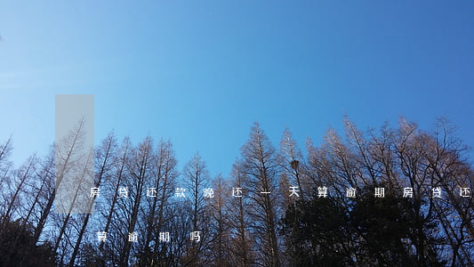 房贷还款晚还一天算逾期(房贷还款晚还一天算逾期吗)
