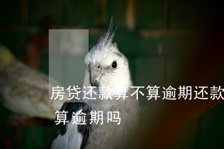 房贷还款算不算逾期还款(房贷宽限期内还款算逾期吗)