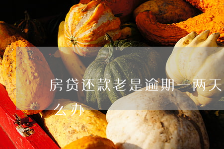 房贷还款老是逾期一两天(还房贷逾期2天怎么办)