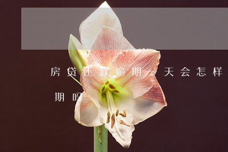 房贷还款逾期一天会怎样(还房贷当天还算逾期吗)