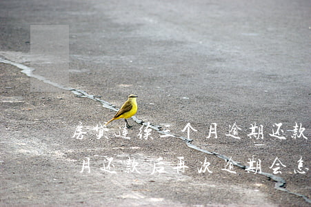 房贷连续三个月逾期还款(银行贷款逾期三个月还款后再次逾期会怎样)