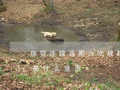 房贷连续逾期六次被起诉(房贷连续逾期6次是什么意思)