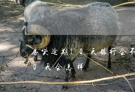 房贷逾期10天银行会不会起诉(房贷逾期10天会怎样)