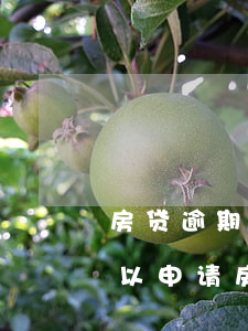 房贷逾期10次能贷款吗(信用卡逾期十次可以申请房贷吗)