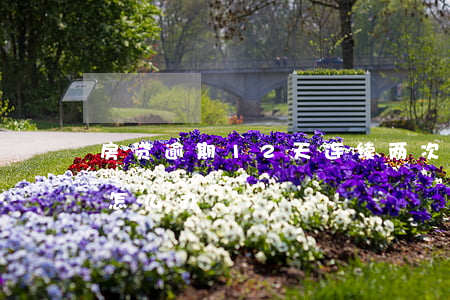房贷逾期12天连续两次(房贷连续逾期八次怎么办)