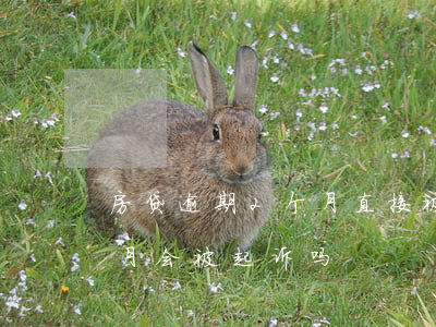 房贷逾期2个月直接被起诉(房贷逾期一个半月会被起诉吗)