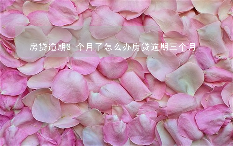 房贷逾期3个月了怎么办(房贷逾期三个月)