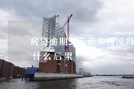 房贷逾期3天还卖得掉吗(房贷逾期两三天有什么后果)
