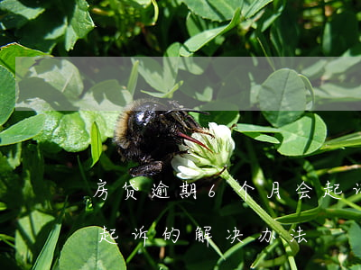 房贷逾期6个月会起诉吗(房贷逾期多久会被起诉的解决办法)