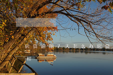 房贷逾期7天怎么办(房贷逾期17天会怎么样)