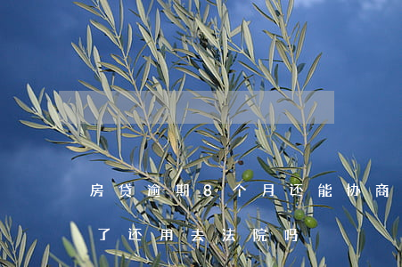 房贷逾期8个月还能协商吗(房贷逾期协商好了,还用去法院吗)