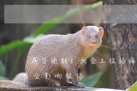 房贷逾期8天会上征信嘛(房贷逾期七天会不会影响征信)