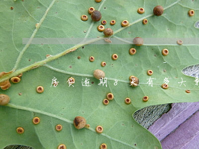 房贷逾期8天有多大影响(房贷逾期7天)