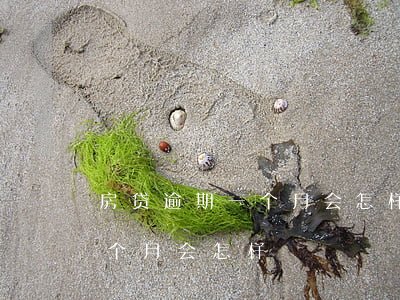 房贷逾期一个月会怎样罚息多少（房贷逾期一个月会怎样）