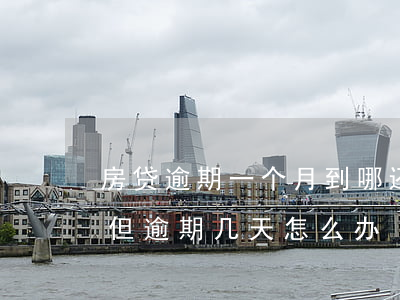 房贷逾期一个月到哪还款(房贷每个月都还了但逾期几天怎么办)