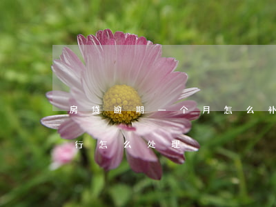 房贷逾期一个月怎么补救(房贷逾期一个月银行怎么处理)