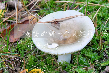 房贷逾期一个月起诉-房贷逾期两个月被起诉合法吗