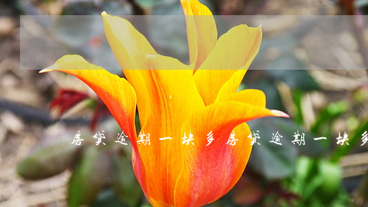 房贷逾期一块多(房贷逾期一块多)